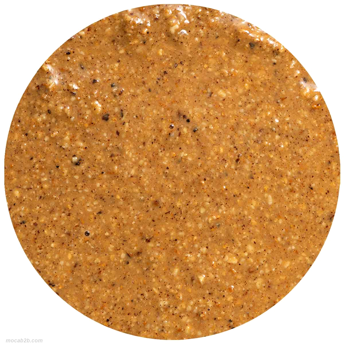PESTO DI NOCCIOLE x3,5Kg (2) DELIZIA 