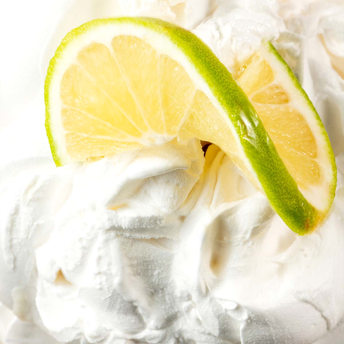 Prodotto FAST completo per ottenere un gelato, sorbetto o semifreddo al bergamotto. Dosi per gelato: 1 busta + 2,5 litri di acqua. Sorbetto: 1 busta + 3 litri di acqua 