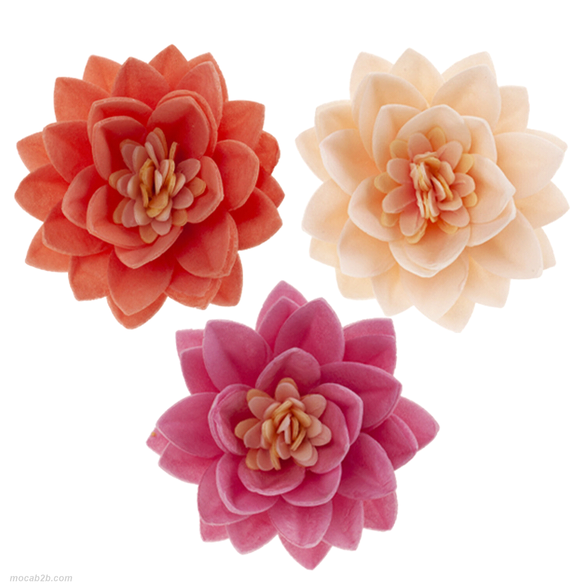 Fiori in cialda in 3 colori assortiti. Senza e171, senza glutine, senza lattosio, senza proteine del latte, senza zuccheri aggiunti. 