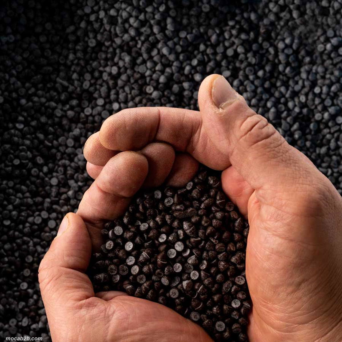 Cioccolato al 54% in gocce da forno. 