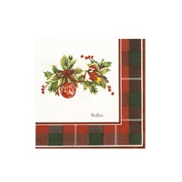 Descrizione articolo in fatturazione: TOVAGLIOLI TARTAN/VERDE 33x33 x16pz  ... 