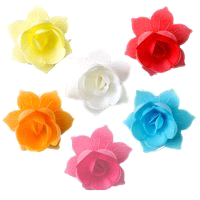 NINFEA WAFER 6 COLORI  x100pz ICEWER 
