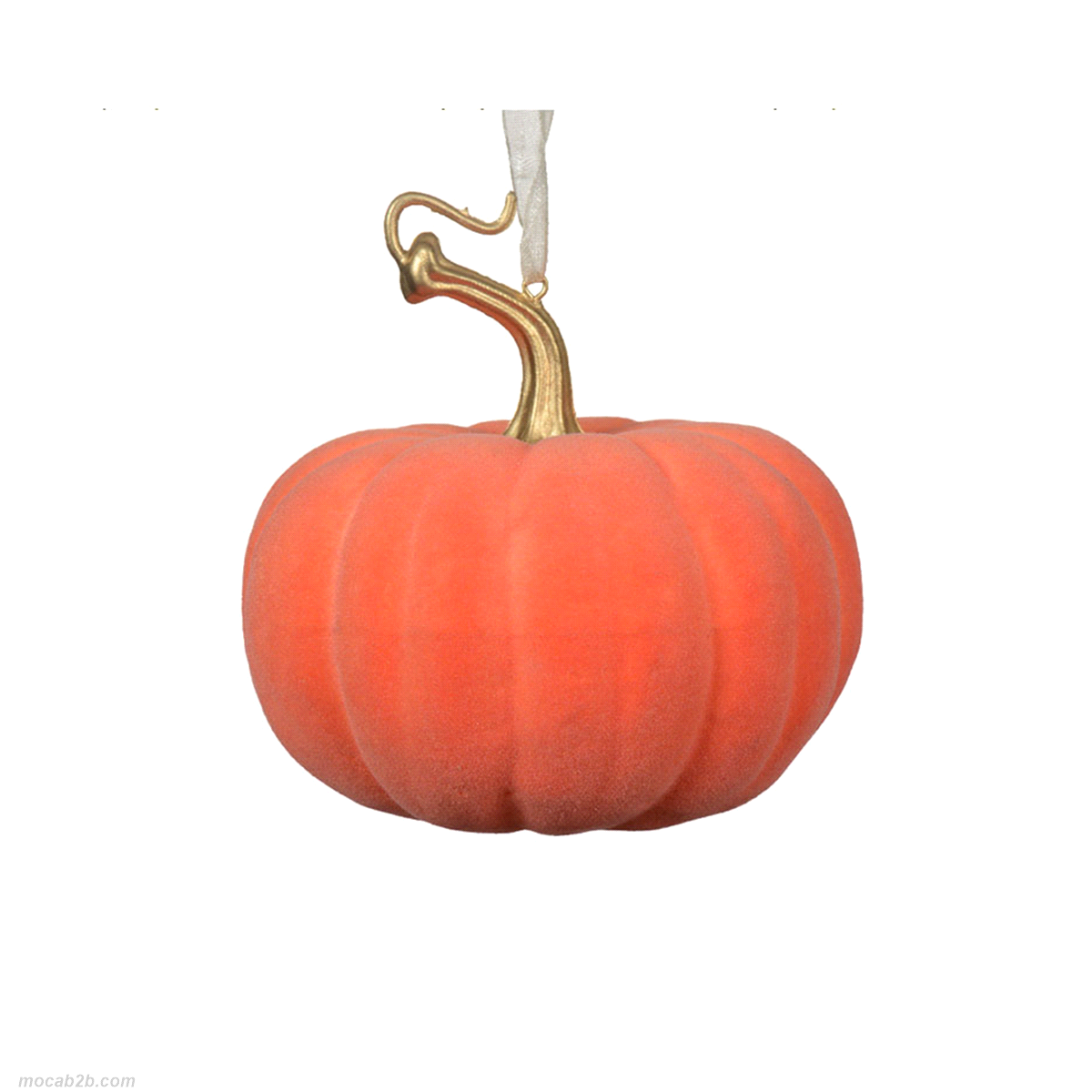 ZUCCA SPEZIATA IN FOAM 9x9h9 