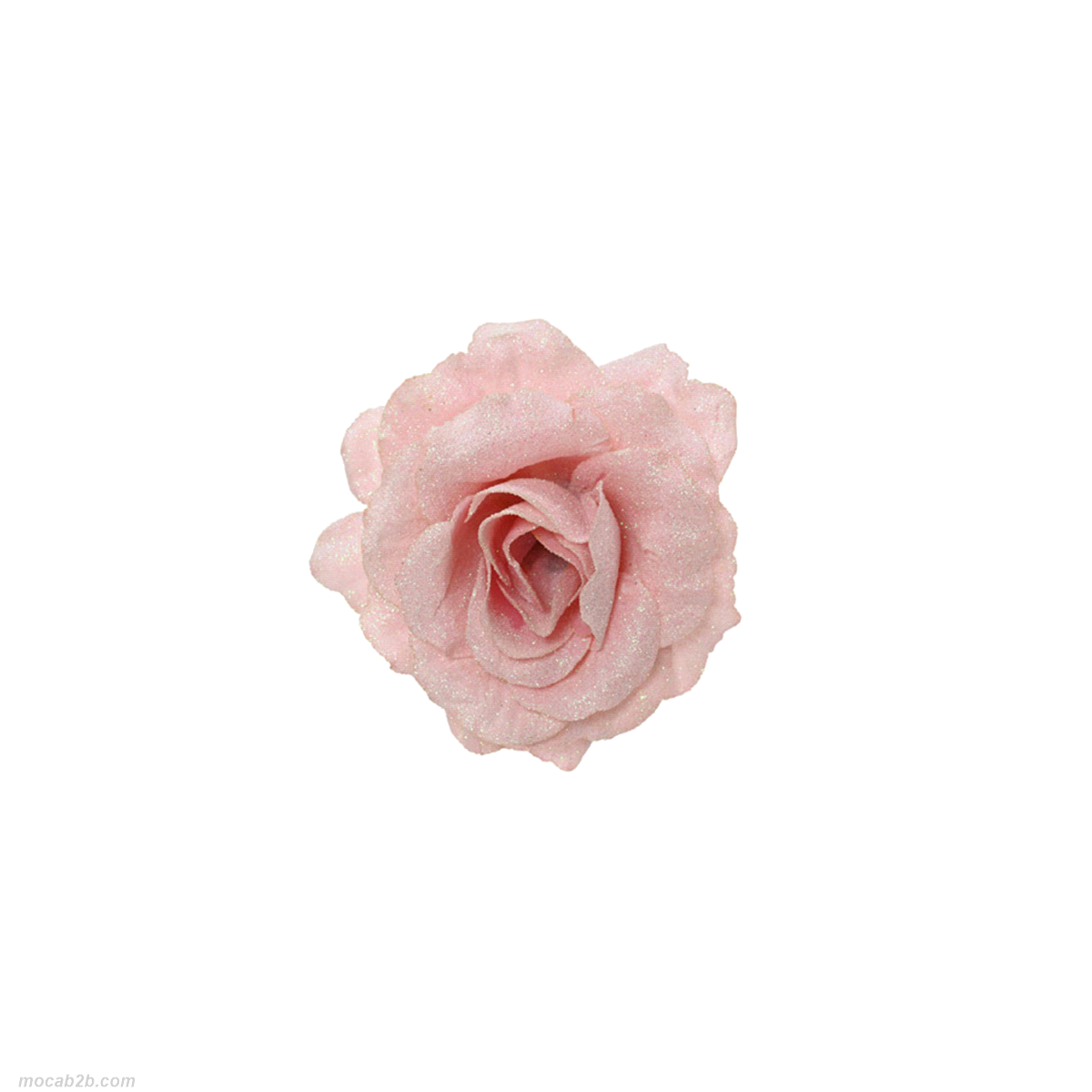 ROSA ROSA CIPRIA SCINTILLANTE CON CLIP@12 