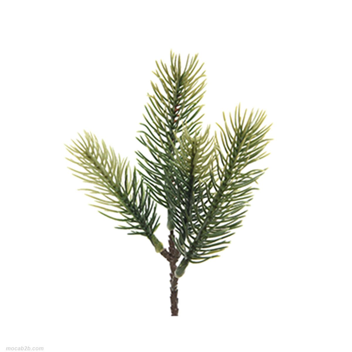 RAMETTO PINO VERDE XMAS h.21 