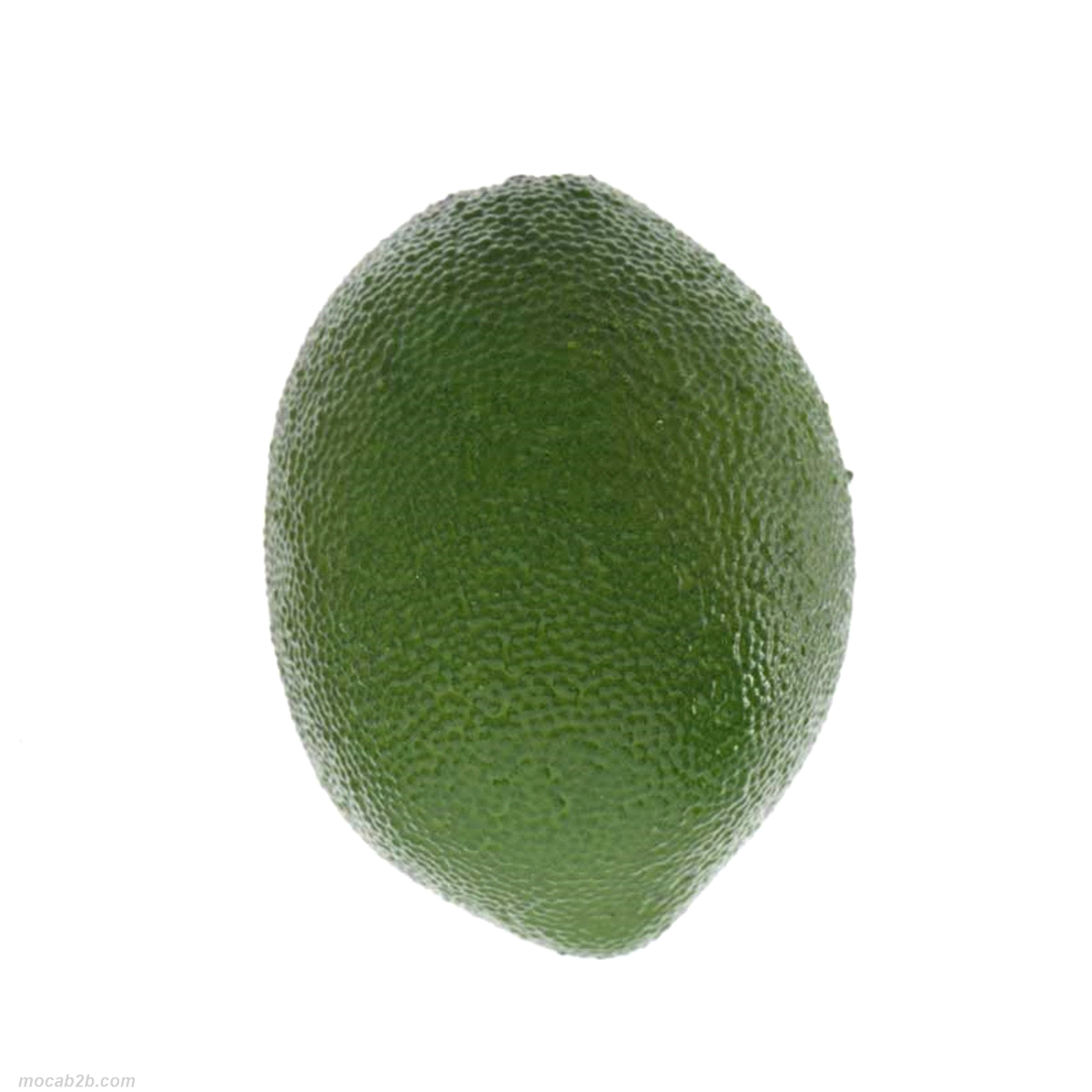 LIME VERDE @ 5x7,5 