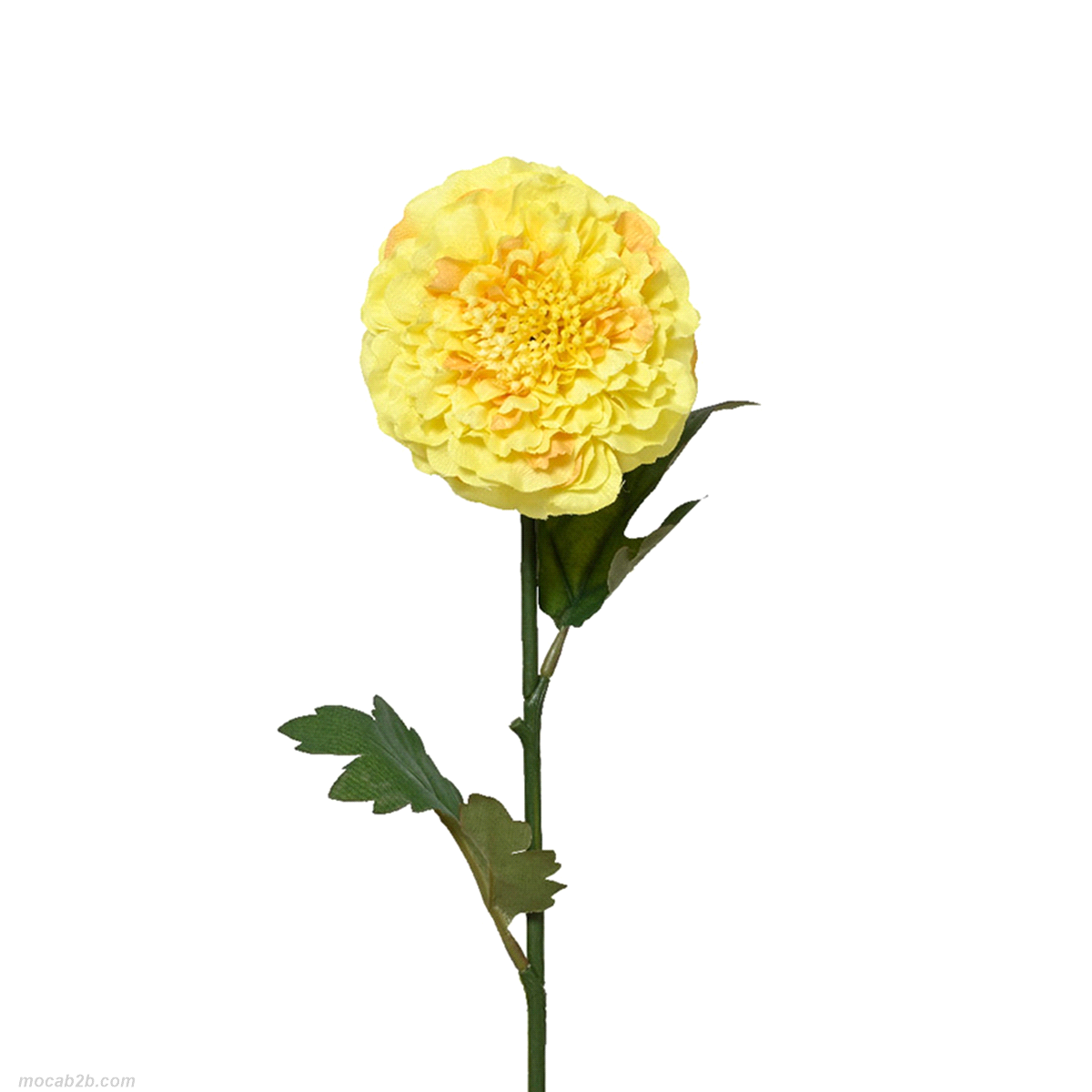 Fiore decorativo. 