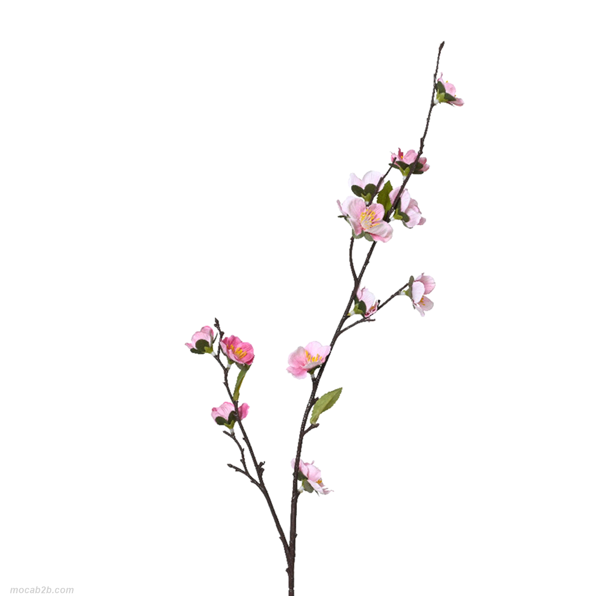 Fiore decorativo. 
