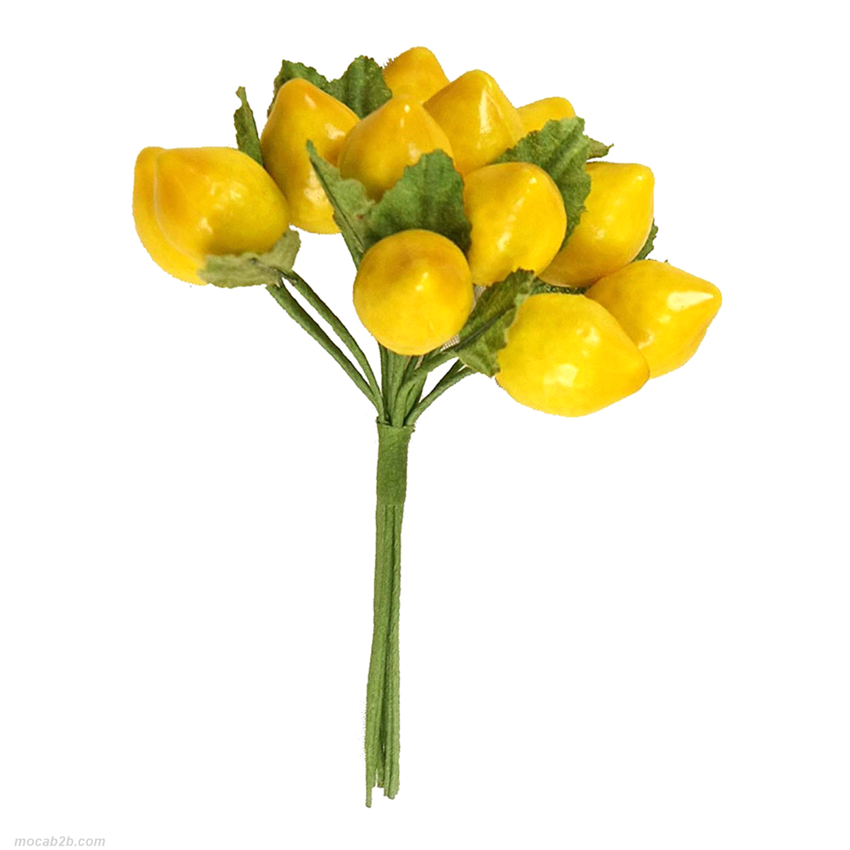 LIMONE MEDIO CON FOGLIA h13 x12pick 