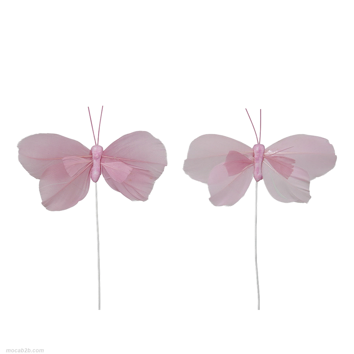 SET 24 PICK FARFALLE ROSA 8cm 