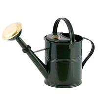 Innaffiatoio metallo zincato con soffione doccia in ottone capacità 5 litri, diametro 20 altezza 22/32cm. 