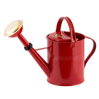 Innaffiatoio metallo zincato con soffione doccia in ottone capacità 5 litri, diametro 20 altezza 22/32cm. 