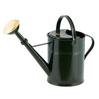 Innaffiatoio metallo zincato con soffione doccia in ottone capacità 9 litri, diametro 23 altezza 28/40cm. 