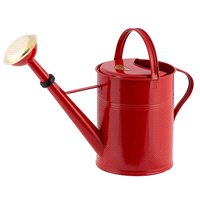 Innaffiatoio metallo zincato con soffione doccia in ottone capacità 9 litri, diametro 23 altezza 28/40cm. 