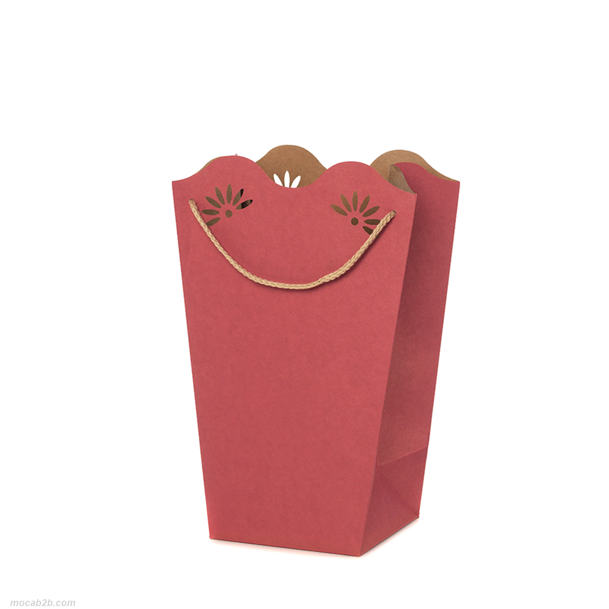 SHOPPERPOT DAISY CICLAMINO 24x35x12pz 