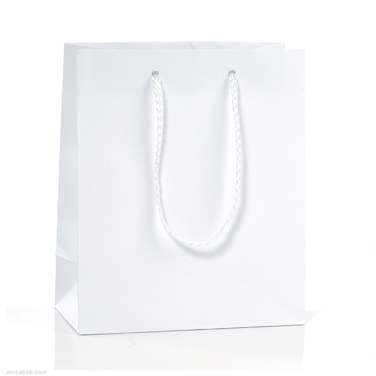BUSTE SHOPPING BIANCO 24x35+24 x12pz 