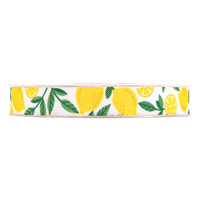 Nastro lemons bianco in tela mm15 x 20mt. 