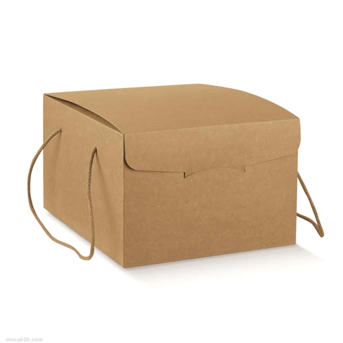 Scatola in cartone accoppiato per confezionare prodotti enogastronomici vari, oggetti, abbigliamento, archivio. Nei tre formati più grandi viene fornita con 2 pezzi di cartone da utilizzare come rinforzo per il fondo della scatola. Viene fornita con 2 cordini in cotone di 65cm., dotati di capocorda, per un inserimento automatico nei 4 fori predisposti nella scatola.
 