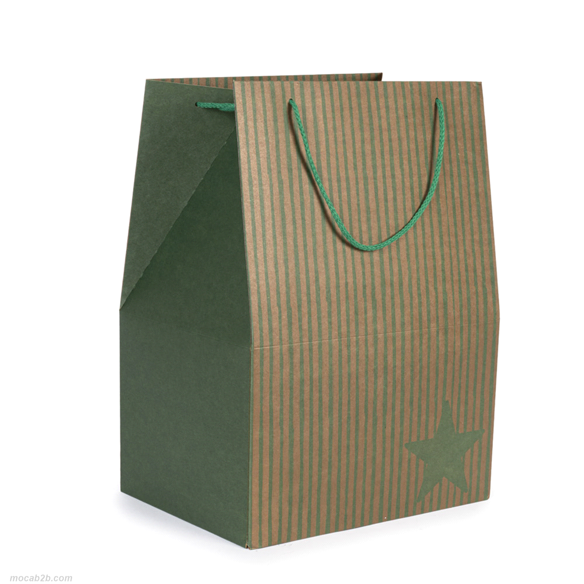 SACCO BAG VERDE KRAFT 30x22x41x10pz 