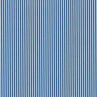 Descrizione articolo in fatturazione: BOBINA RIGHETTO BLU 1x25mt  ... 
