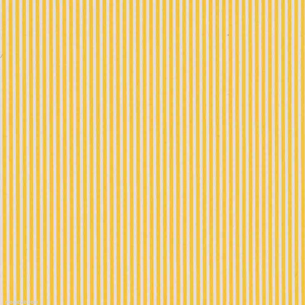 Descrizione articolo in fatturazione: BOBINA RIGHETTO GIALLO 1x25mt  ... 