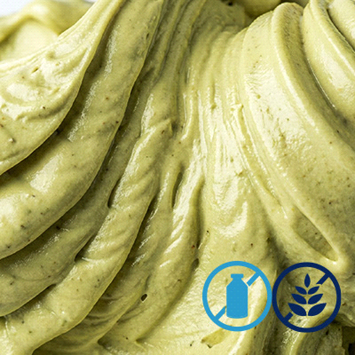 Prodotto fast per realizzare un gelato o sorbetto al pistacchio senza glutine e senza lattosio. Basta aggiungere solo acqua. 