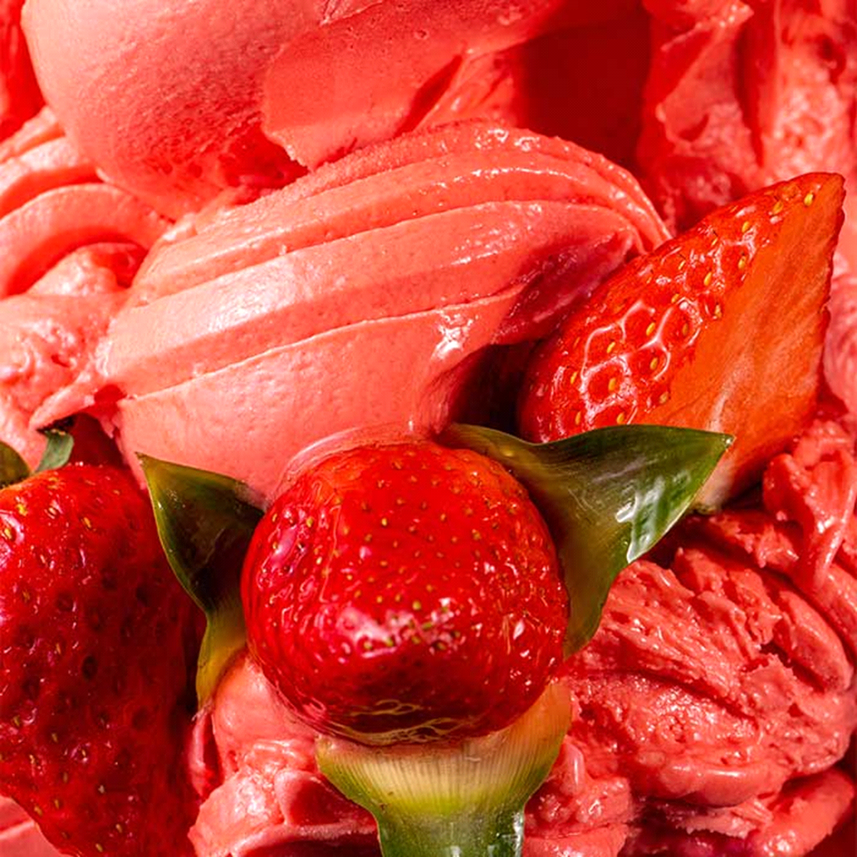 Prodotto FAST completo per ottenere un gelato, sorbetto o semifreddo alla fragola. Ricetta per gelato: 1 busta + 2,5 litri di acqua. Sorbetto: 1 busta + 3 litri di acqua. A freddo 