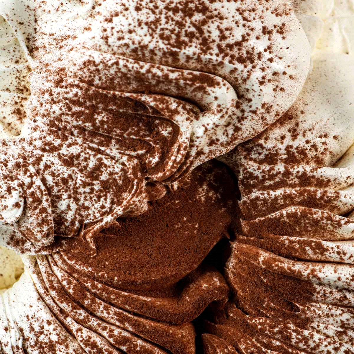 Preparato in polvere al tiramisù per aromatizzare la base gelato o semifreddo. Ricetta: 30/40 gr di prodotto per litro di miscela, utilizzo a freddo. 