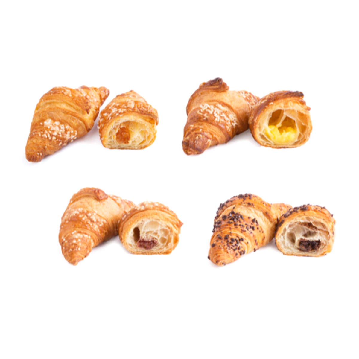 4 immancabili gusti tutti sotto un unico codice. Bontà, funzionalità, varietà. 4 gusti: cioccolato e nocciole, albicocca, crema al limone e lampone. Sfoglia al burro e ricche farciture.
Peso: 40 gr.
Tempi di cottura: 18-20 min - 160°C
 