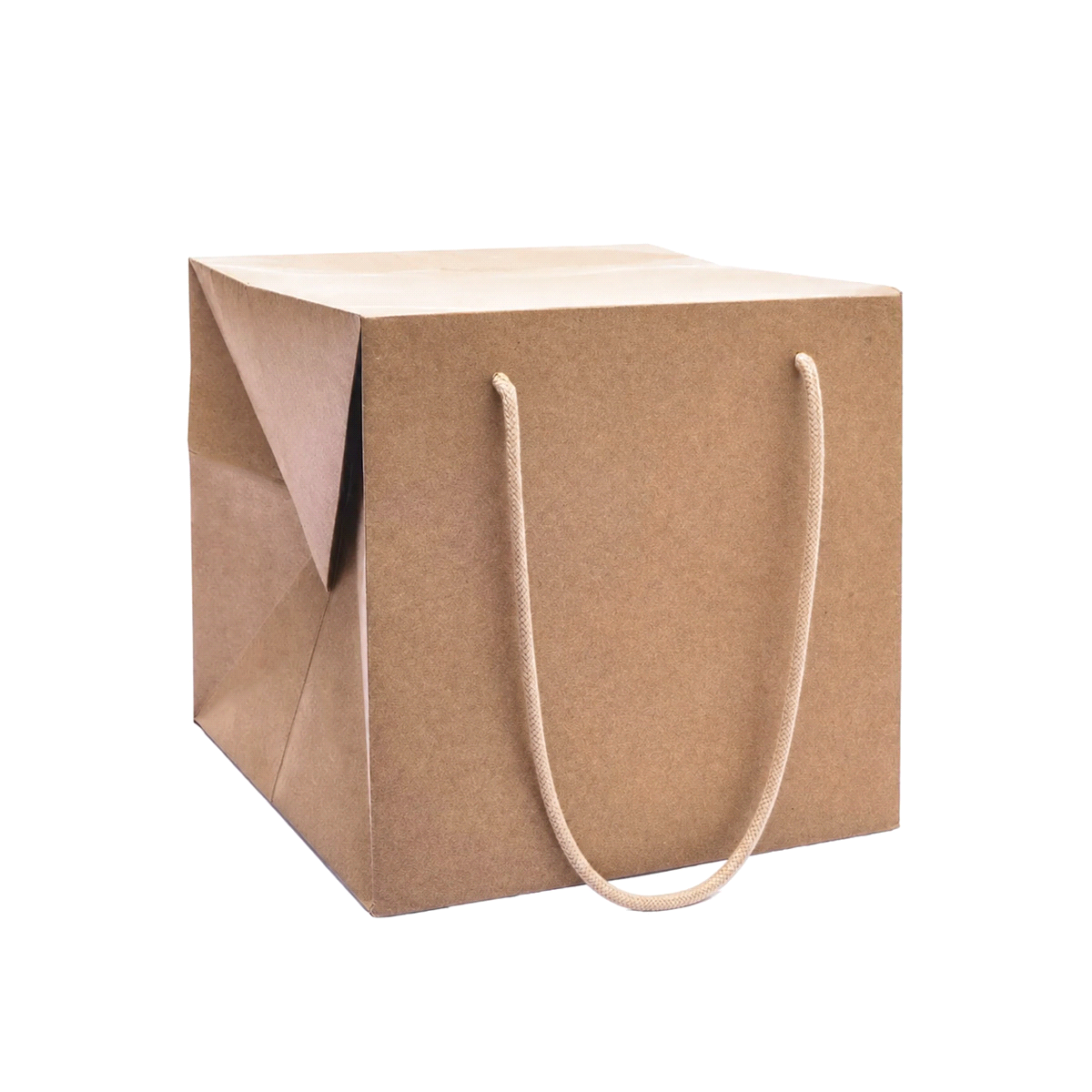 BAG BOX AVANA BASIC PANETTON23x23x23 