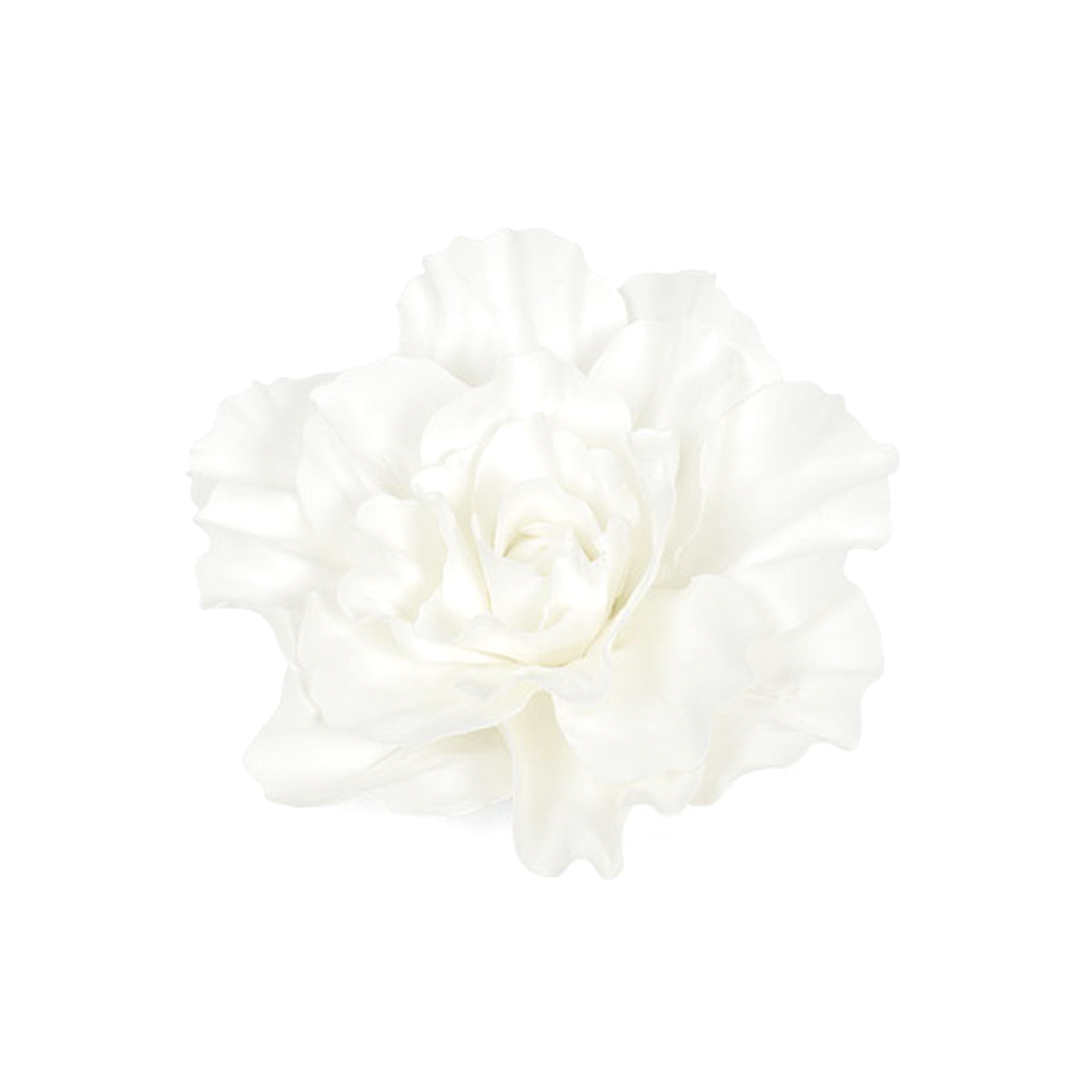 ROSA BIANCA DIAMETRO 35 