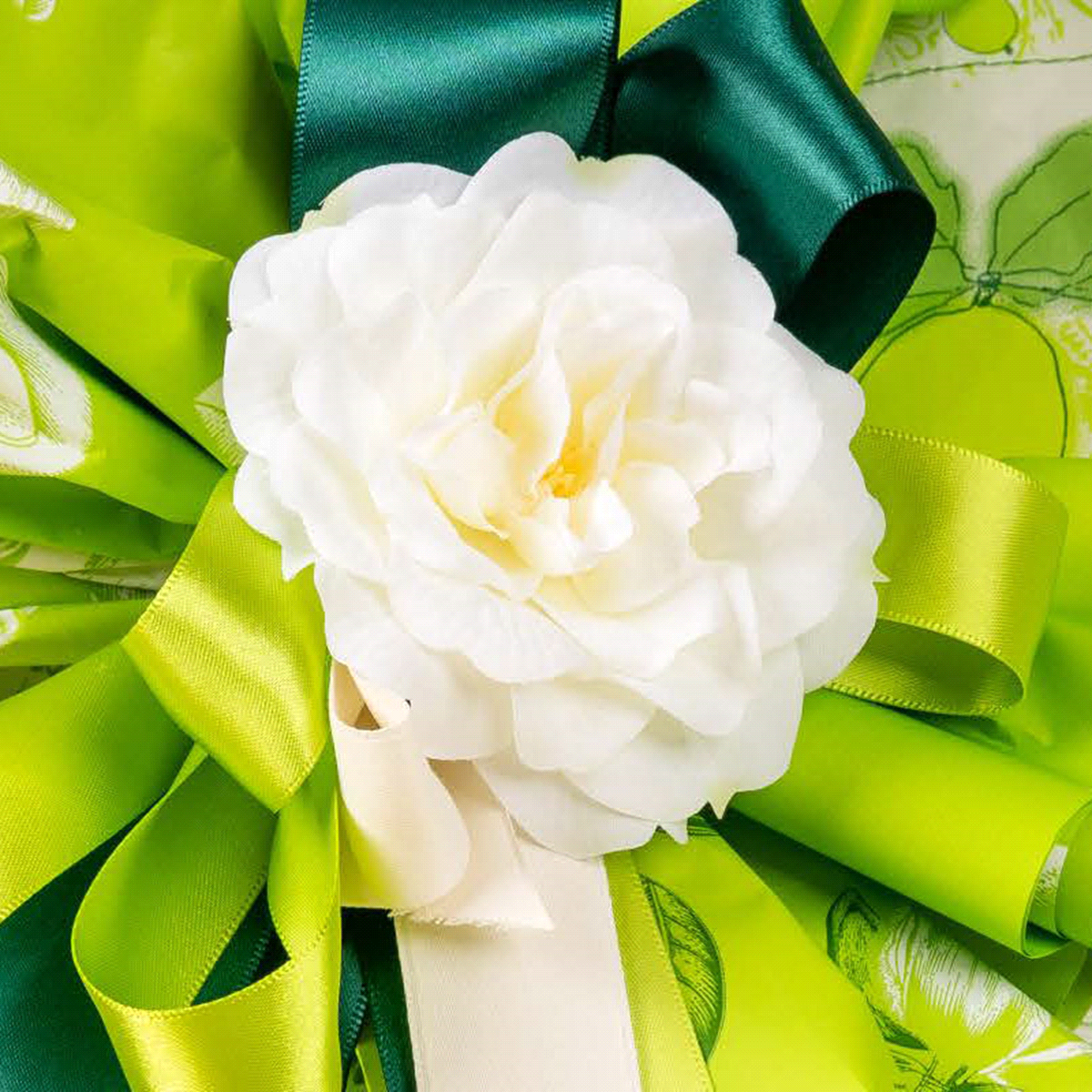 Ramo con 6 rose inglesi di colore bianco h. 69cm. 
