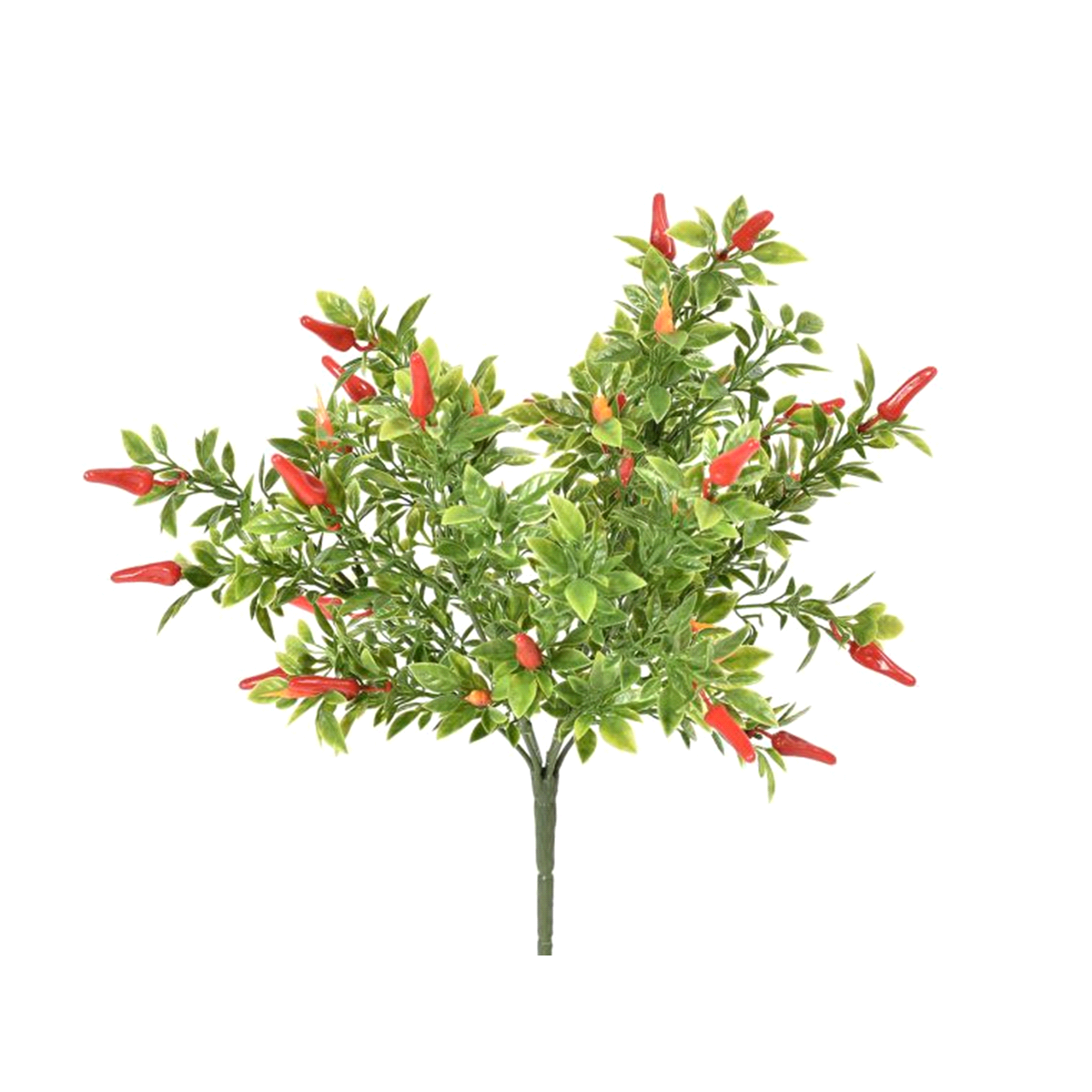 CHILLY VERDE MAZZO PLASTICA 35,5cm(3) 