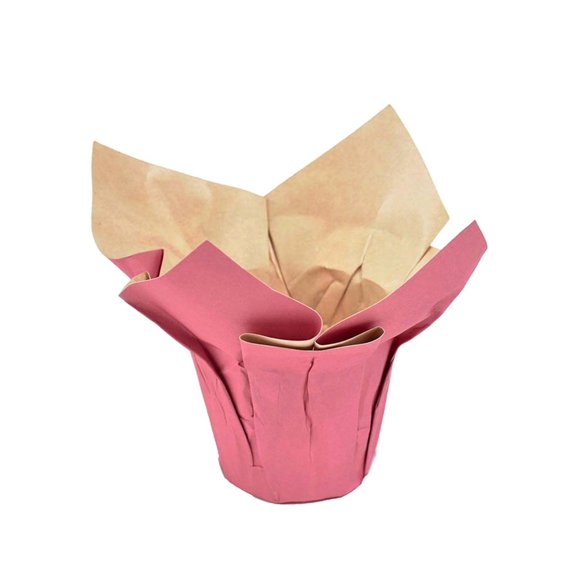 COPRIVASO CARTA FUXIA @45 h52x12pz 