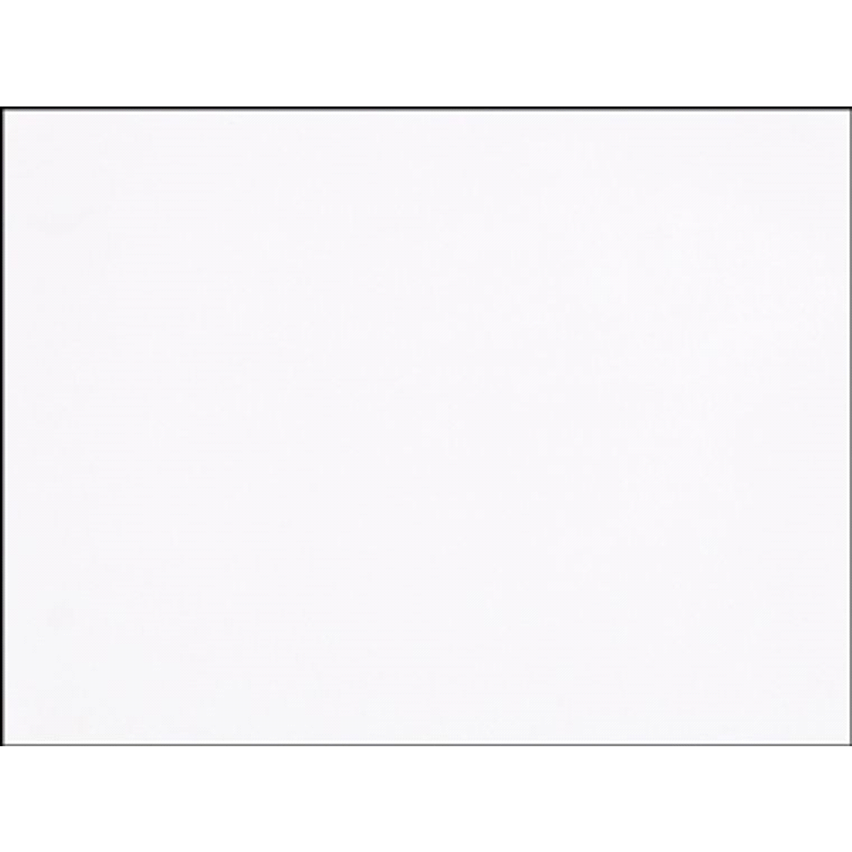 BOBINA ORGANZA BIANCA 48cmx20mt 