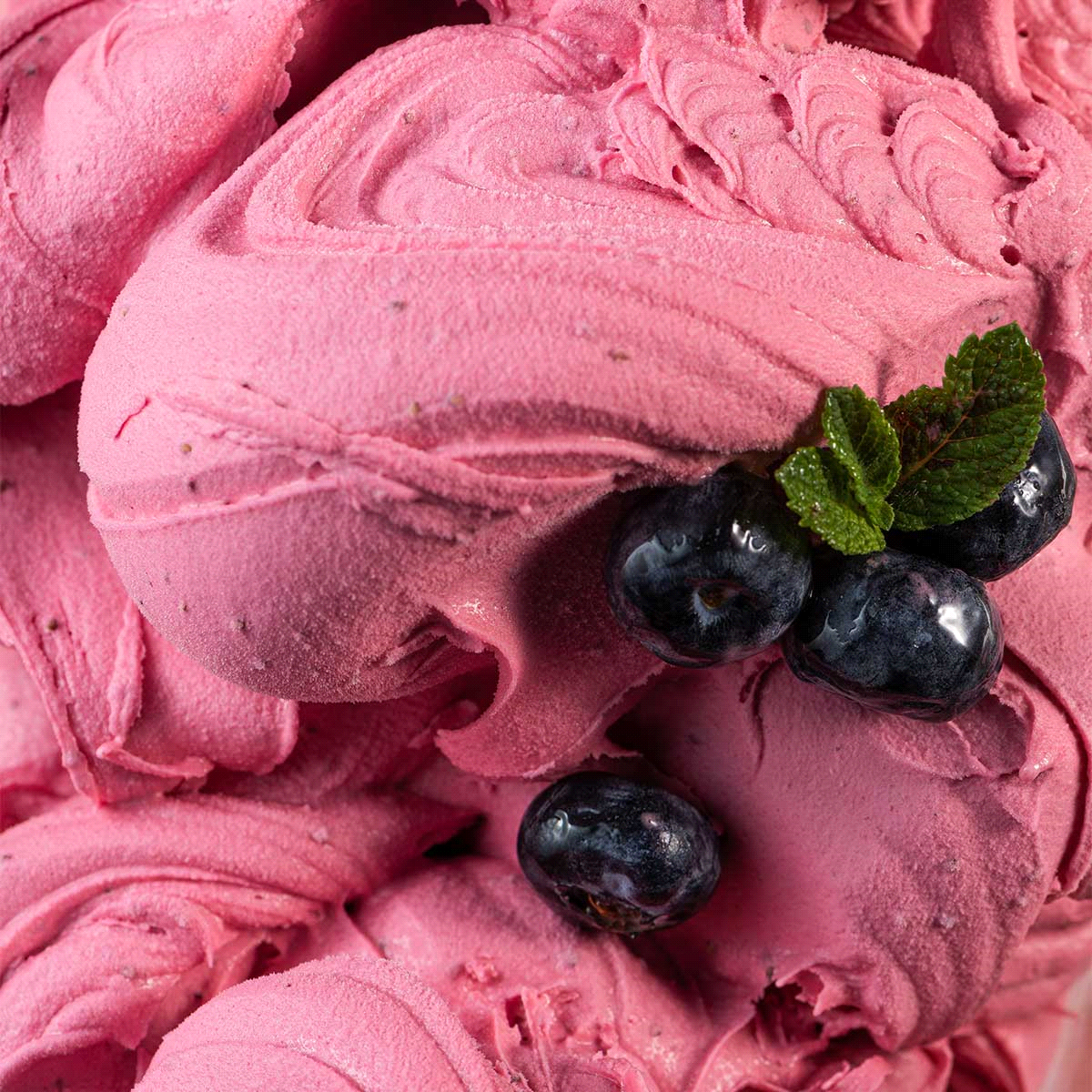 Prodotto FAST completo per ottenere un gelato, sorbetto o semifreddo al mirtillo. Dosi per gelato: 1 busta + 2,5 litri di acqua. Sorbetto: 1 busta + 3 litri di acqua 