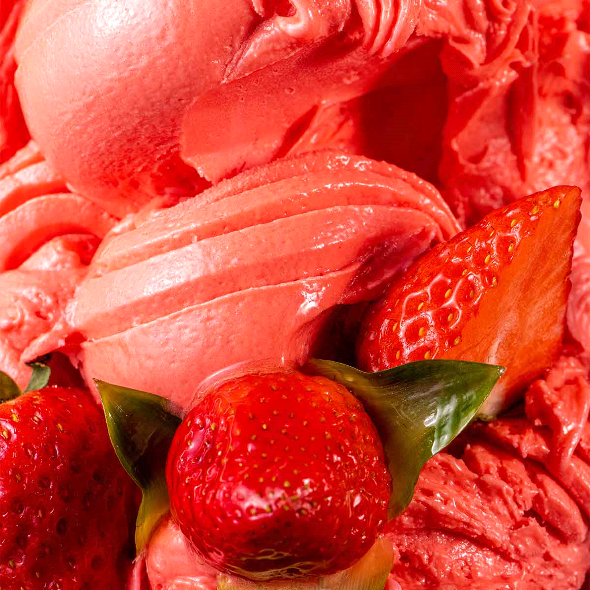 Prodotto FAST completo per ottenere un gelato, sorbetto o semifreddo all