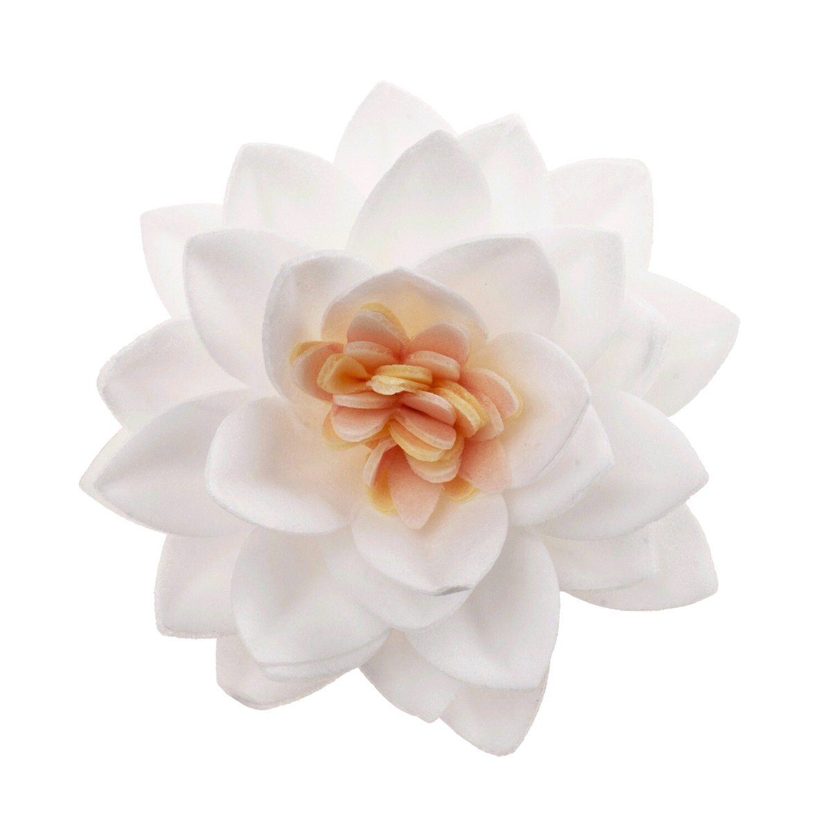 Fiori in cialda bianchi. Adatto ai vegetariani, Coloranti naturali, Senza e171, Senza glutine, Senza lattosio, Senza proteine del latte, Senza zuccheri aggiunti. 