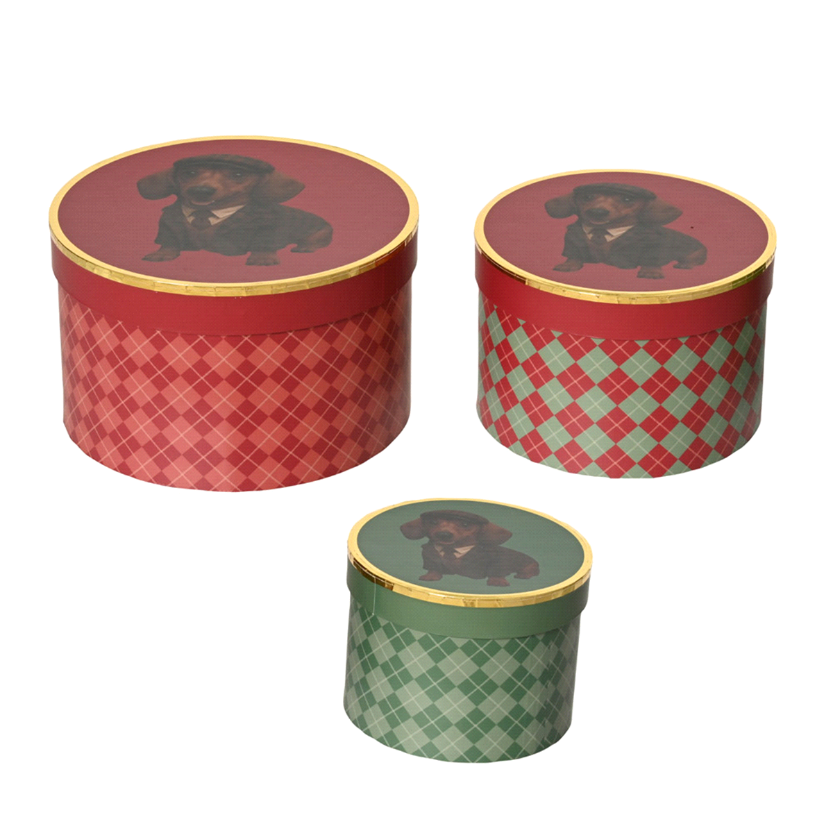 SET 3 SCATOLE REGALO BASSOTTO @18h11 