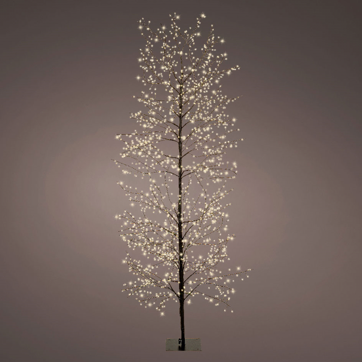 Albero nero in ferro con micro led di colore bianco caldo da esterno. Dimensioni: @70 h.180cm. 