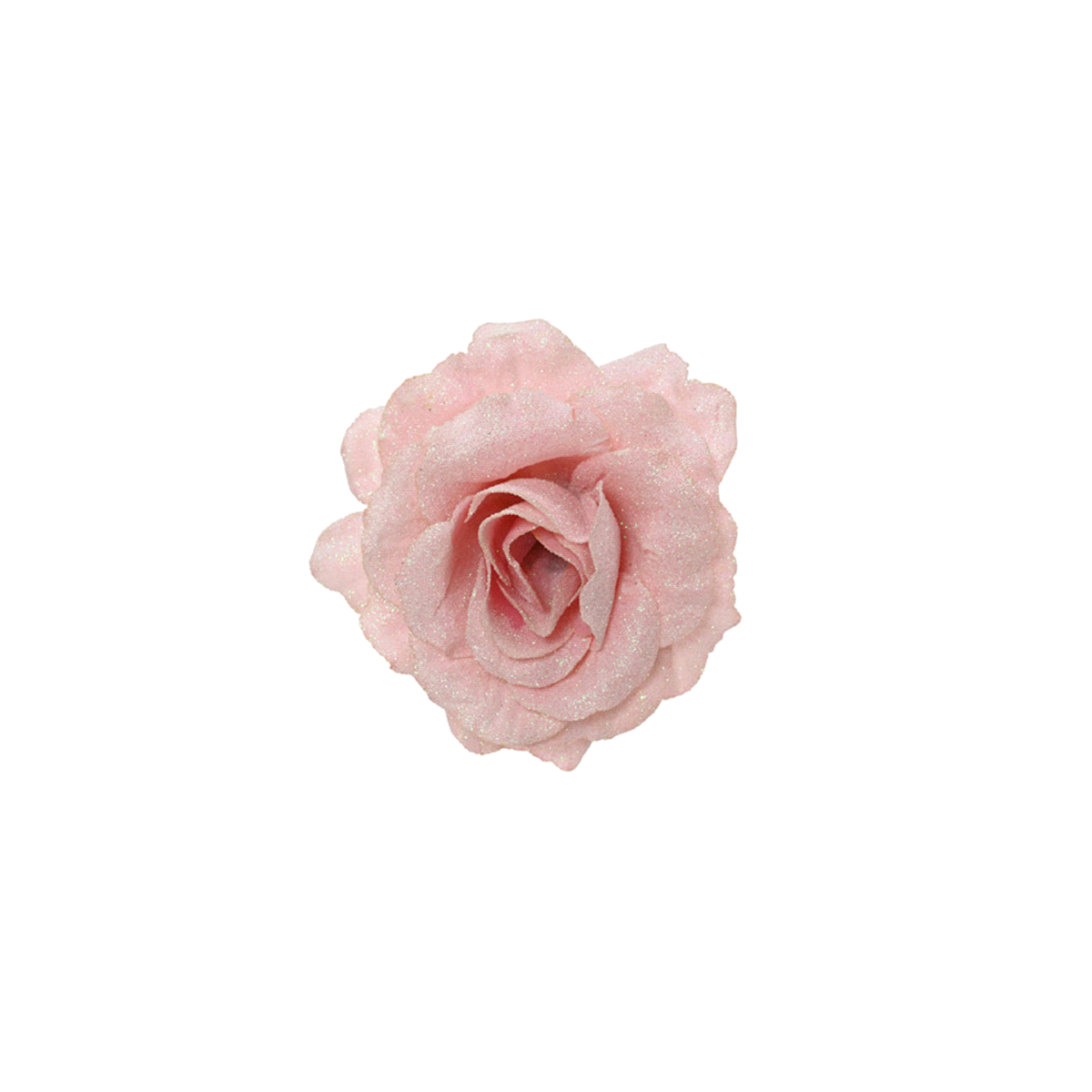 ROSA ROSA CIPRIA SCINTILLANTE CON CLIP@12 