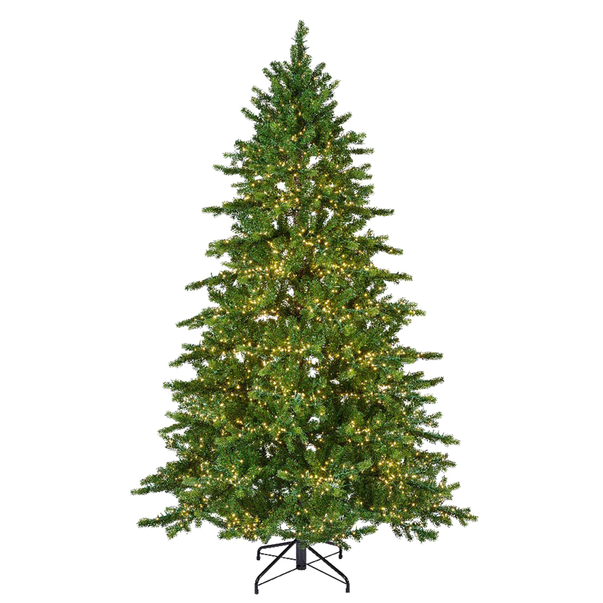 Abete di galloway verde con led bianco caldo da interno. Misure: diametro 130cm. h. 210cm. 