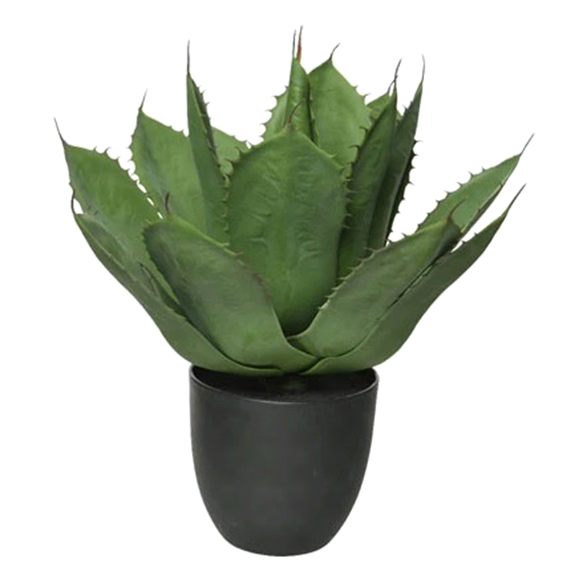 Lun. 40 cm di larghezza. Alt. 40 cm 50 cm. plastica 