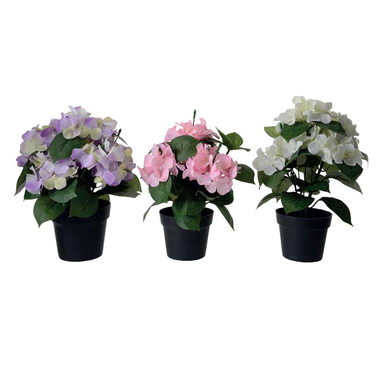 HYDRANGEA BIA/ROSA/LAV 15x15x24x3pz 