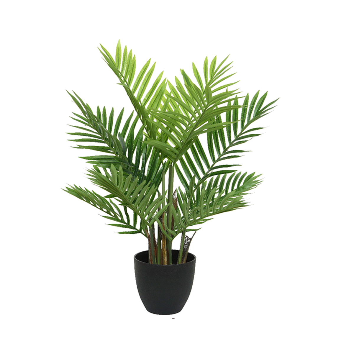 Pianta palma verde in plastica decorativa in vaso di plastica. Dimensioni: 61x61 h. 73cm. 
