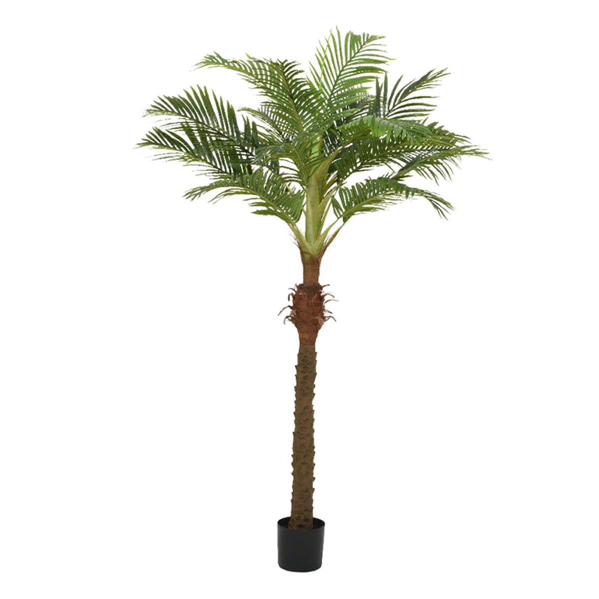 Pianta palma verde in plastica decorativa in vaso di plastica. Dimensioni: 110x90 h. 230cm. 