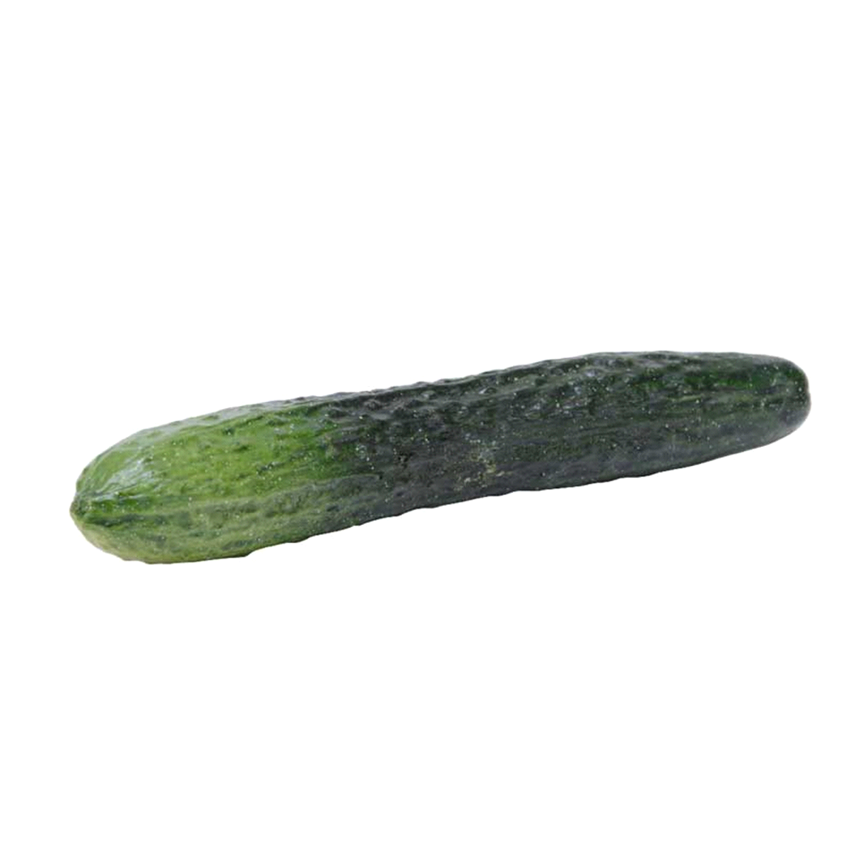 CETRIOLO VERDE POLIRESINA 24x4x4 