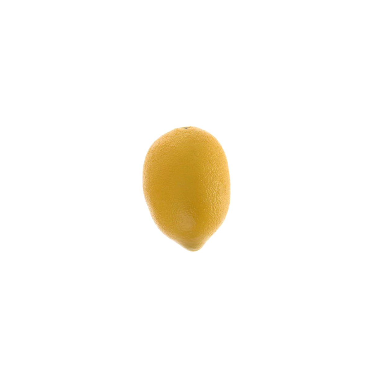 LIMONE GIALLO PLASTICA @6x9 