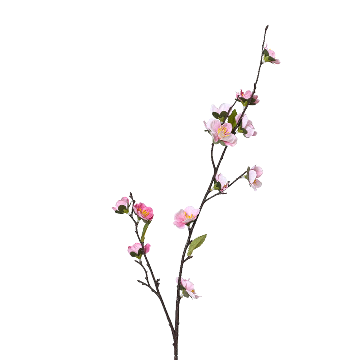 Fiore decorativo. 