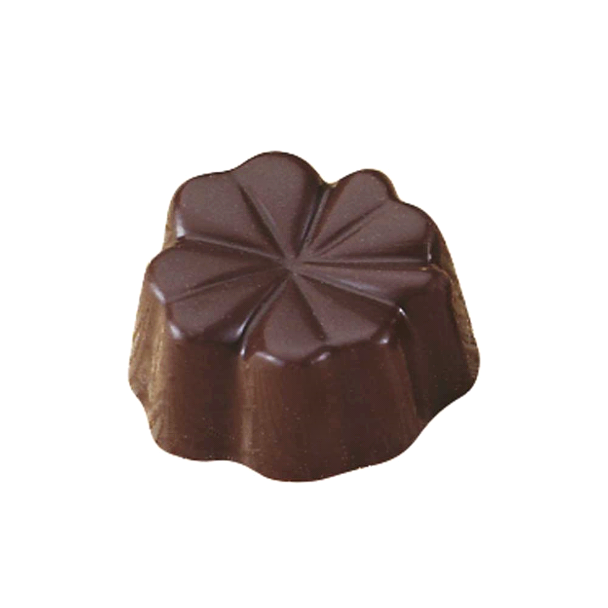 Stampo in policarbonato per praline a forma di quadrifoglio. 